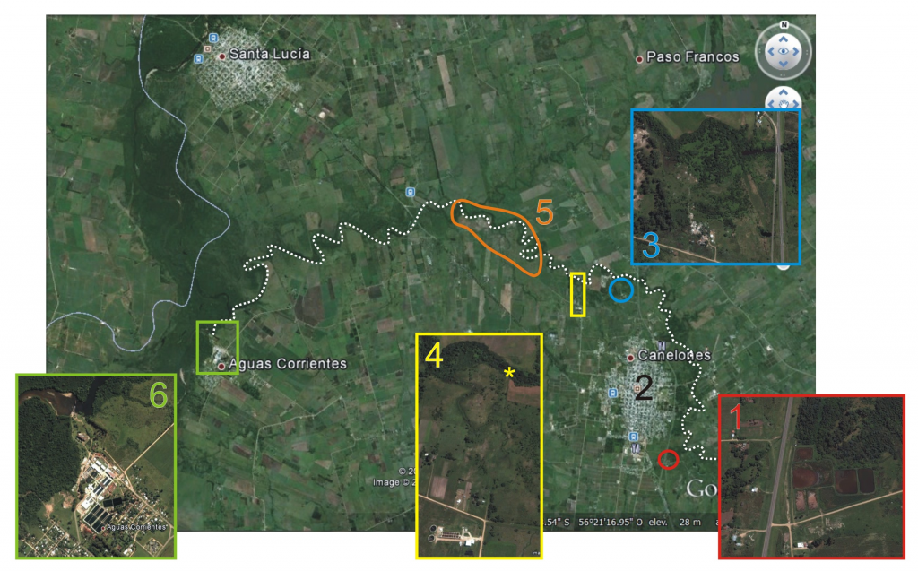 ¿Cañita voladora? El posible origen de las “bacterias del mal olor” y